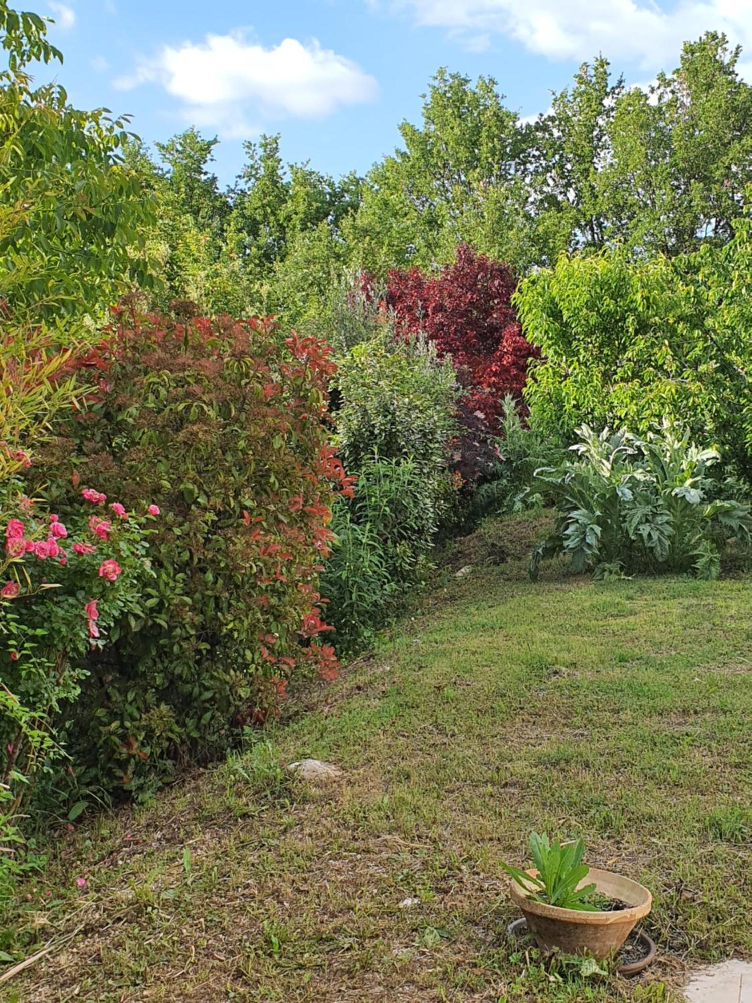 Gite Hanna En Luberon - Le Boisset De St Martin De Castillon Saint-Martin-de-Castillon Екстер'єр фото