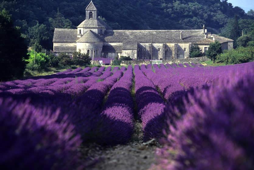 Gite Hanna En Luberon - Le Boisset De St Martin De Castillon Saint-Martin-de-Castillon Екстер'єр фото