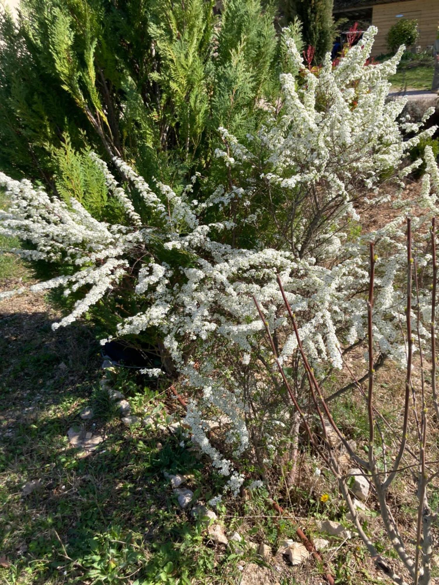 Gite Hanna En Luberon - Le Boisset De St Martin De Castillon Saint-Martin-de-Castillon Екстер'єр фото
